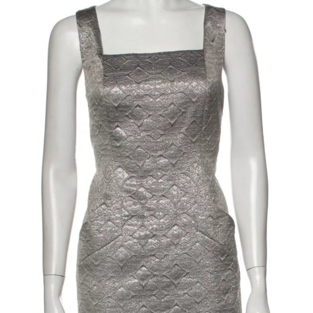 NWT red valentino Dress